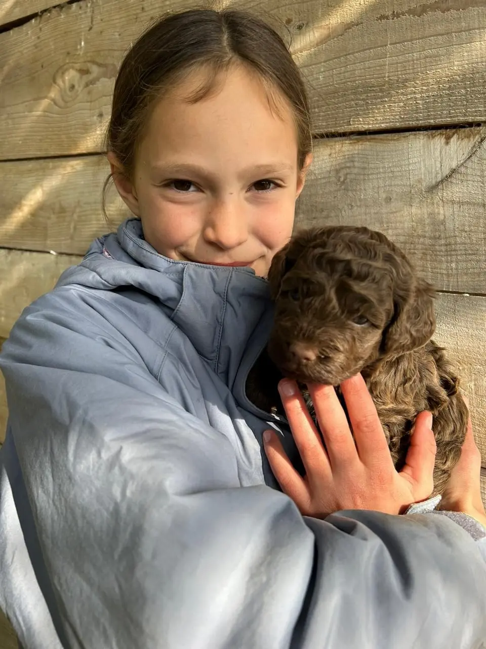 Le Lagotto Romagnolo du Domaine des Lys du Gaucho 