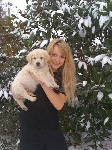 Chiens Golden Retriever du Domaine des Lys du Gaucho à Fontaines