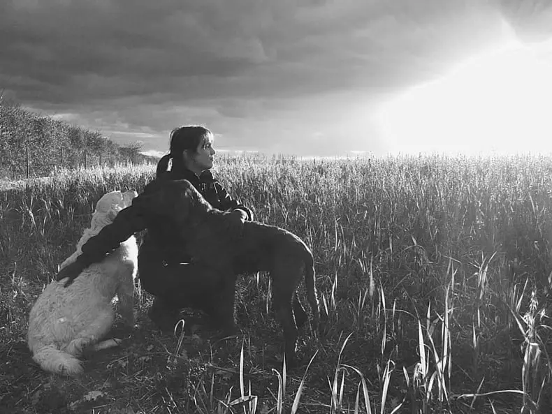 Le site web sur internet du Domaine des Lys du Gaucho à Fontaines